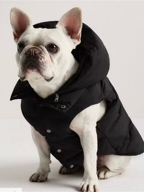 NWT Quince Black Puffer Dog Jacket with Hood in Sizes Medium and XL